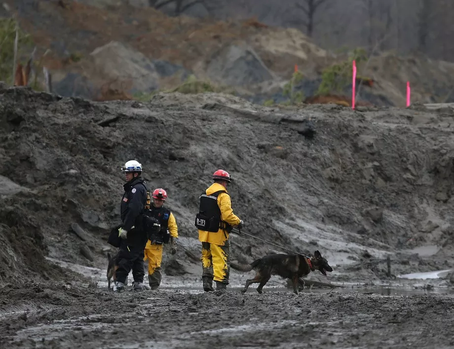 Пожарите в Южна Калифорния са почти овладени 