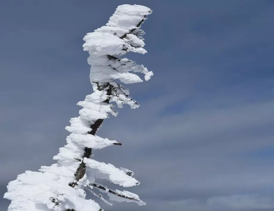 Кой е загиналият алпинист в Стара планина?