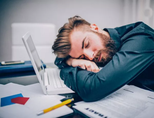 Учени с нова еволюционна теория: Оцеляват най-мързеливите