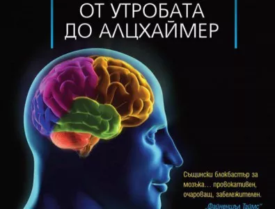 Тази книга ни помага да разнищим мозъка си