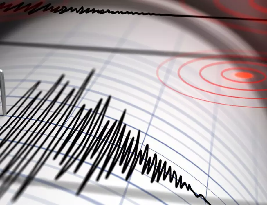 Няма данни за пострадали българи при земетресението в Япония