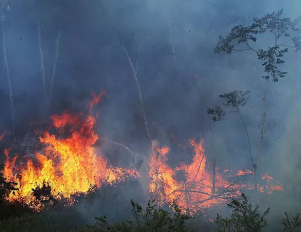 Гори сметището в село Първенец, пожарът е труднодостъпен