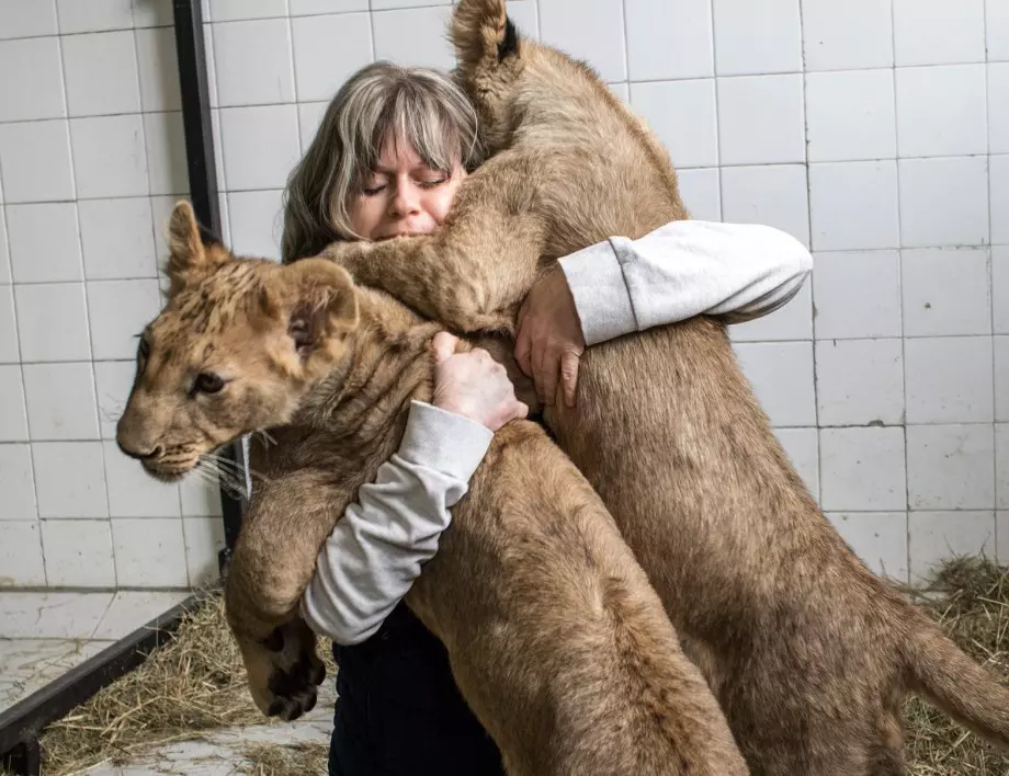 "Четири лапи" стартира международна петиция за условията в българските зоопаркове