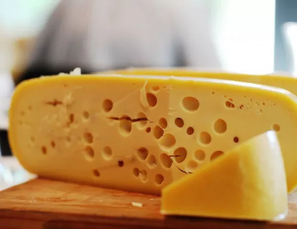 Откриха сирене на повече от 3 хиляди години