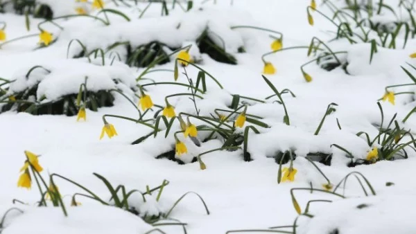Прогноза за времето -  3 март (събота)
