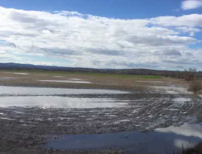Посеви в Бургаско са засегнати от наводнения