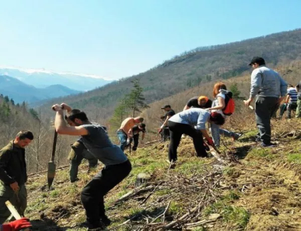 Тетевен организира залесяване на общинска гора