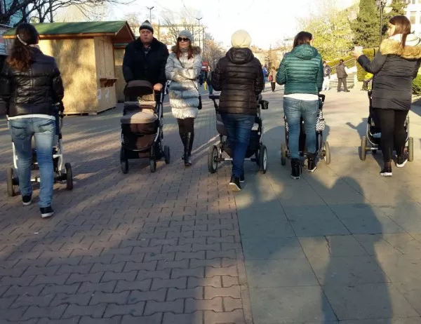 Намалява броят на приемните семейства в Асенoвград