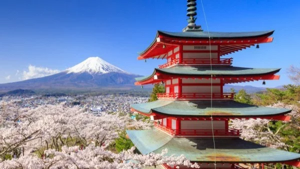 В какво се крие тайната на японското дълголетие?