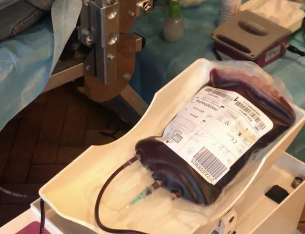 23 души дариха кръв на Цветница във Велико Търново