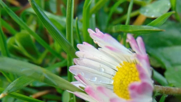 Прогноза за времето - 5 април (четъртък)