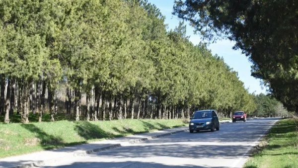 Всяка четвърта жертва на катастрофа е при завой, шофьорите масово карат прекалено бързо