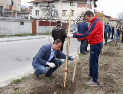 Кметът на Банско засади първата фиданка за Седмицата на гората