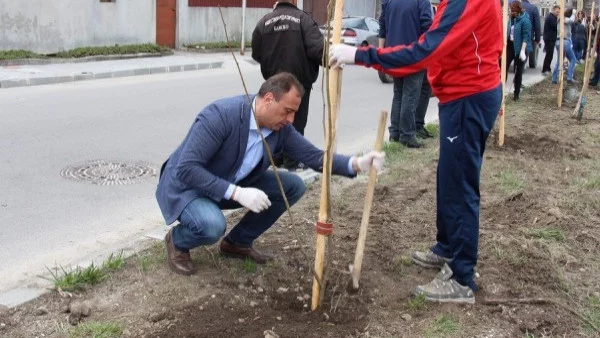 Кметът на Банско засади първата фиданка за Седмицата на гората