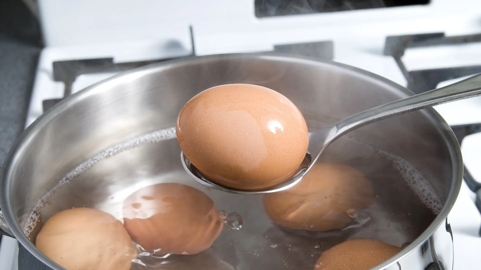 Как се варят перфектните рохки яйца?