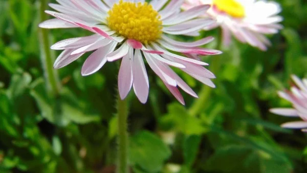 Прогноза за времето -  12 април (четвъртък)