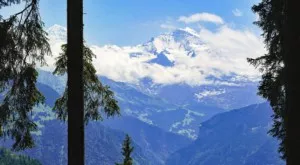 {{ otherArticle[0].article.title }}