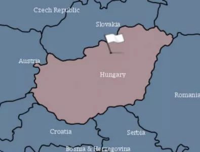 Първо огнище на африканска чума по свинете е открито в Унгария