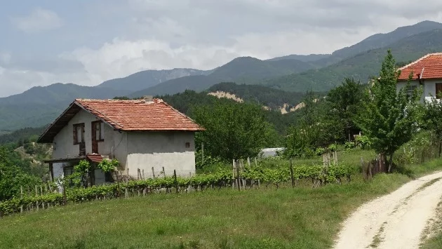 Лято е - какви са опасностите за децата на село