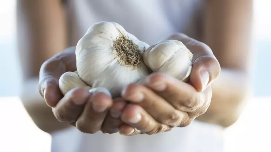 Тази чеснова вода ще направи имунитета ви СУПЕР СИЛЕН! 