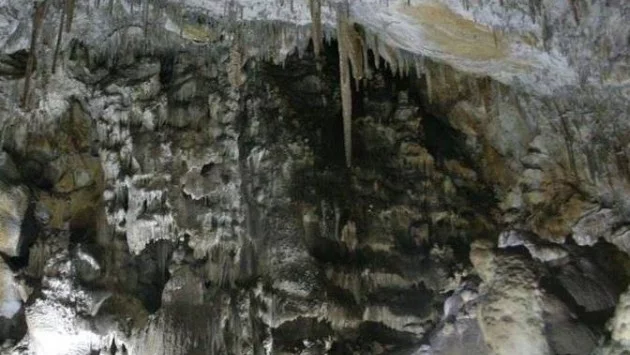 Прилепни колонии и подземен карст разкриват историята на "Добростански бисер"