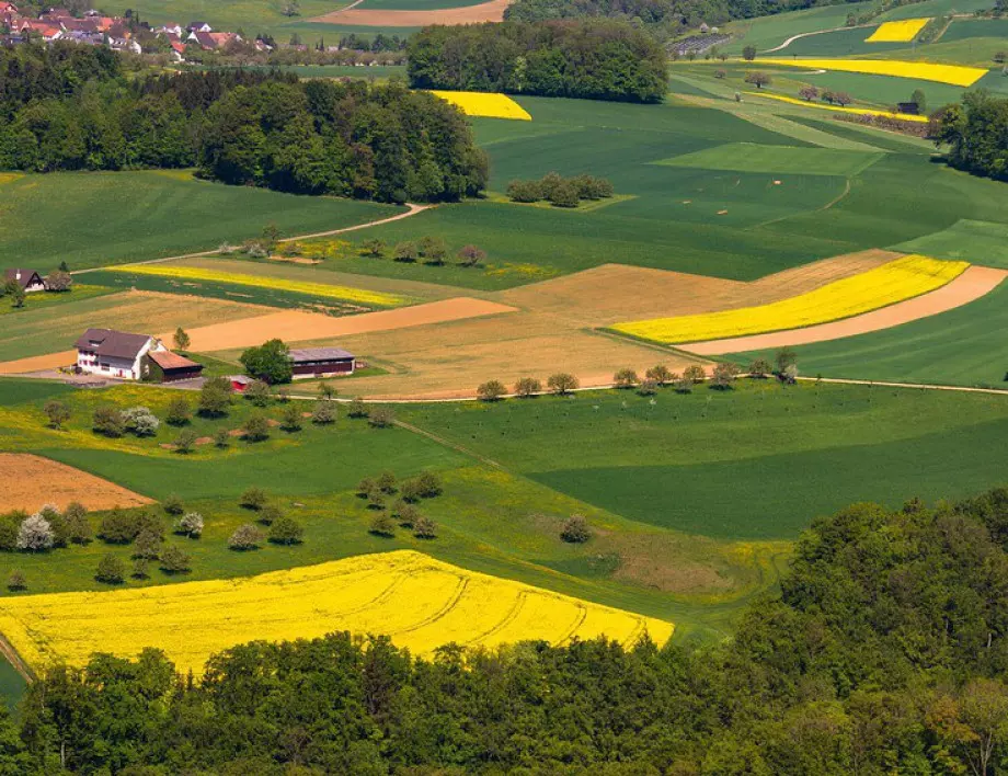 ЕС планира да намали употребата на пестициди с 50%, как ще реагира САЩ