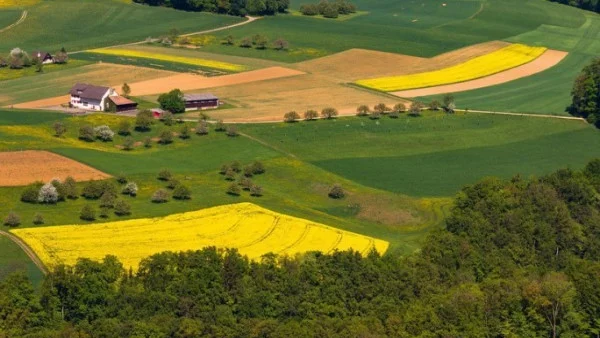 Десет собственици в България имат по над 100 000 декара