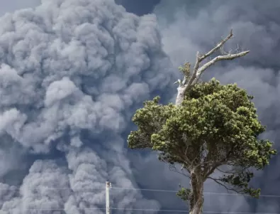 Вулканът предизвика масова евакуация в Индонезия (ВИДЕО)