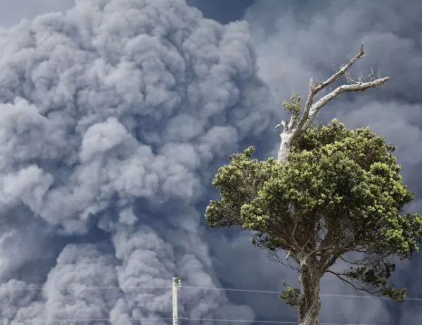 Расте броят на жертвите и изчезналите след изригването на вулкана Фуего в Гватемала