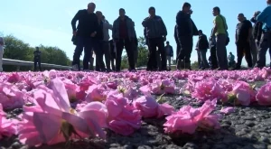 Производители на рози от Казанлъшко също излязоха на протест 