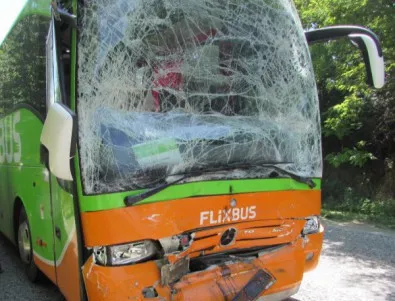 Седем загинали при катастрофа на автобус с туристи в Куба