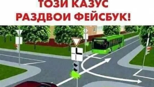 Автобусът или колата? Давайте!  