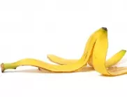 Бананова кора в саксията: Тайната за цъфтеж и здрави растения
