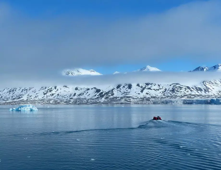 Водорасли под морския лед в Арктика представляват голяма заплаха за хората