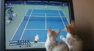 Спортът по телевизията днес (31.08)