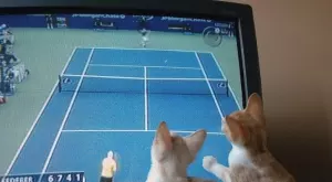 Спортът по телевизията днес (05.09)