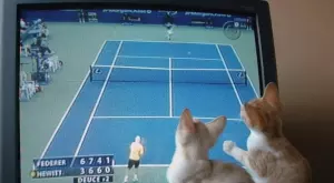 Спортът по телевизията днес (07.09)