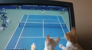 Спортът по телевизията днес (13.11)