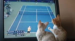 Спортът по телевизията днес (13 февруари)