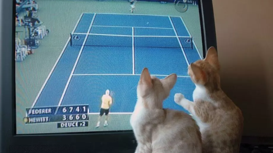 Спортът по телевизията днес (26 март)