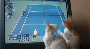 Спортът по ТВ - Ето какво да гледаме днес, 05 януари, сряда