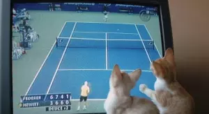 Спортът по ТВ: Ето какво да гледаме днес, 19 октомври