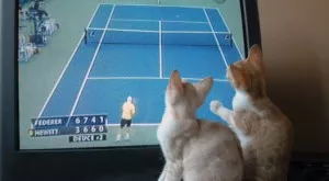 Спорт и футбол по телевизията днес