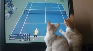 Спортът по телевизията днес (Иванов плува във финала на Евро'18)