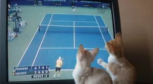 Спорт и футбол по телевизията днес