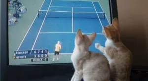 Спортът по телевизията днес