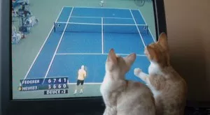 Спортът по телевизията днес