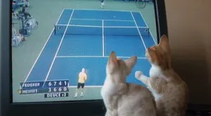 2018/07/04/0517949001530686289