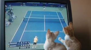 Спорт и футбол по телевизията днес