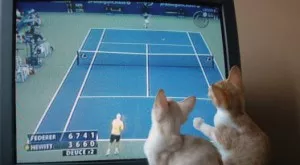 Спортът по телевизията днес